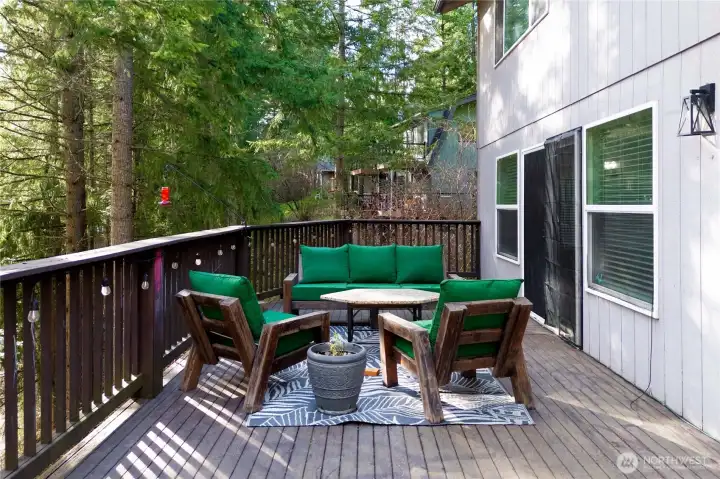 Huge Deck with views of lake