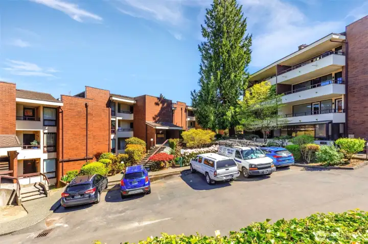 6 visitor parking stalls (ignore the sign) on the west side of the building with entry stair straight ahead.  4 more visitor stalls just north of these, and plenty on the east side of the building (the street parking).  The big lot to the west of the building is for additional assigned stalls if you have a 2nd car or more (for small monthly fee).