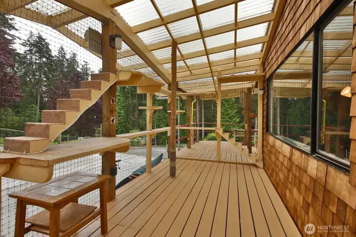 Catio