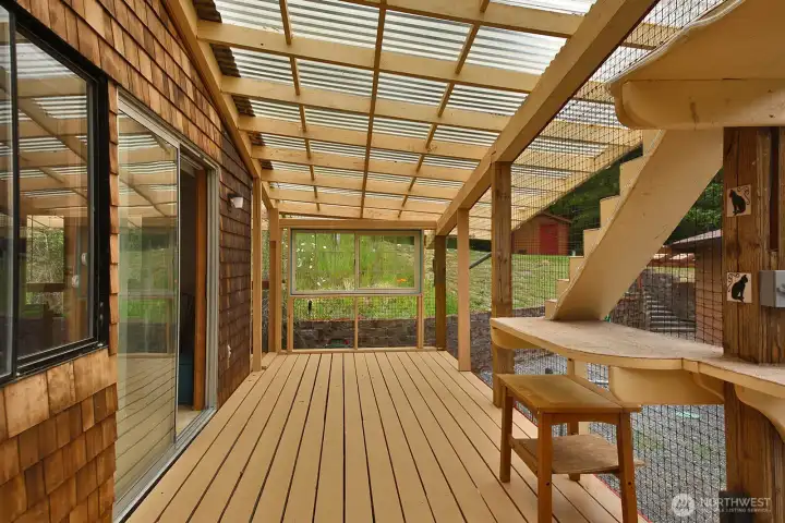Catio