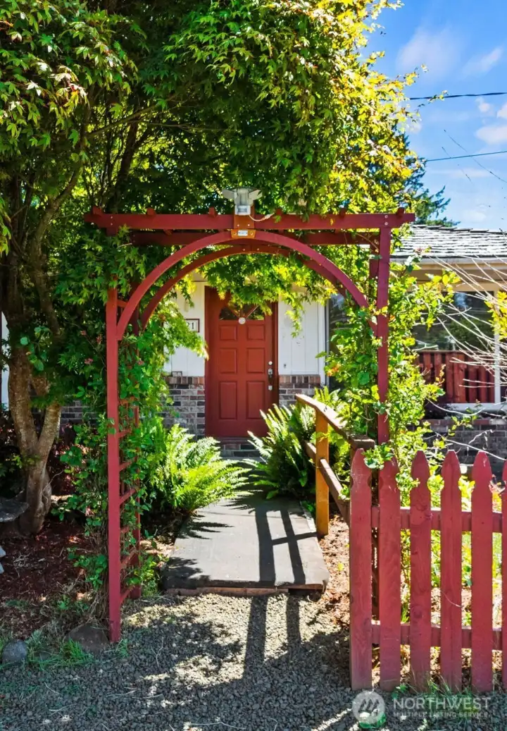 Unique front yard