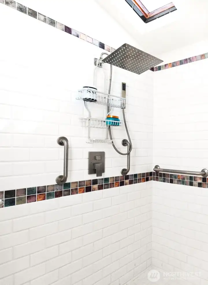 Dual headed roll in shower