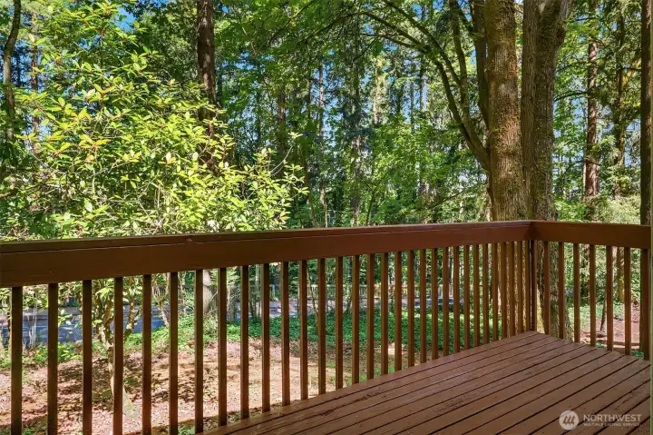 Private deck off living room.