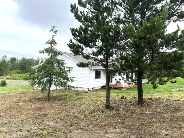 South side looking at side and back of house.