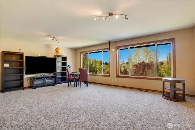Family room? Bonus room? Theater room? This incredible room has so many options! The views of the back yard, and sunsets are glorious.