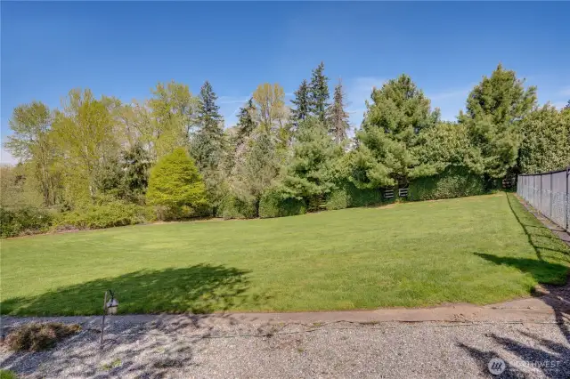 This yard! With a sprinkler system, there can be lush grass all year round.