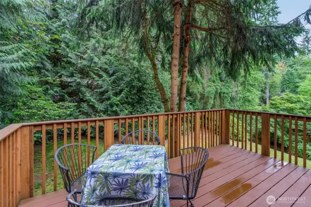 Upper Back Deck