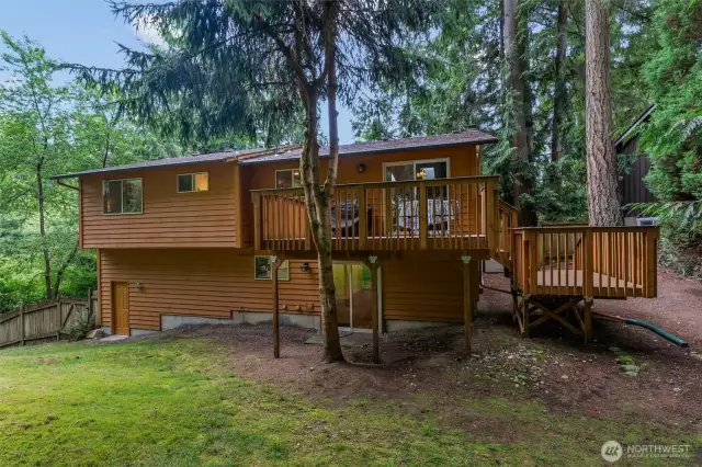 Back yard & Lower Deck