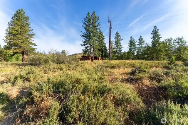 Lot 25 mostly level and lightly treed.