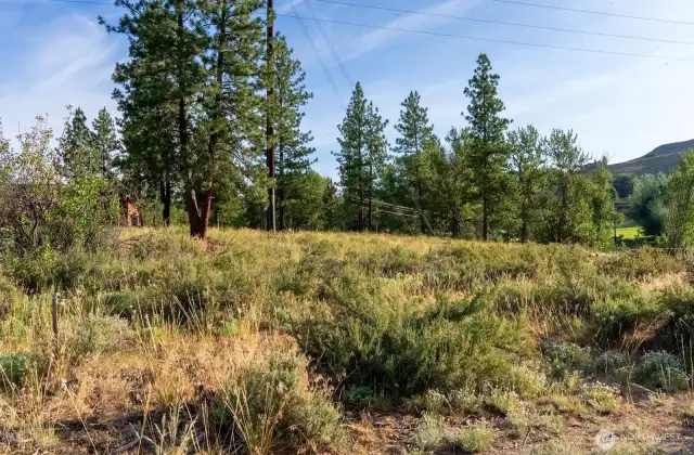 615 Pine Loop lot is next to Se Teek Wa Trail along Chewuch River.