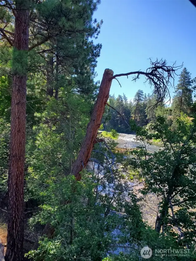 Se Teek Wa park, trail and common area to North Village along the Chewuch River