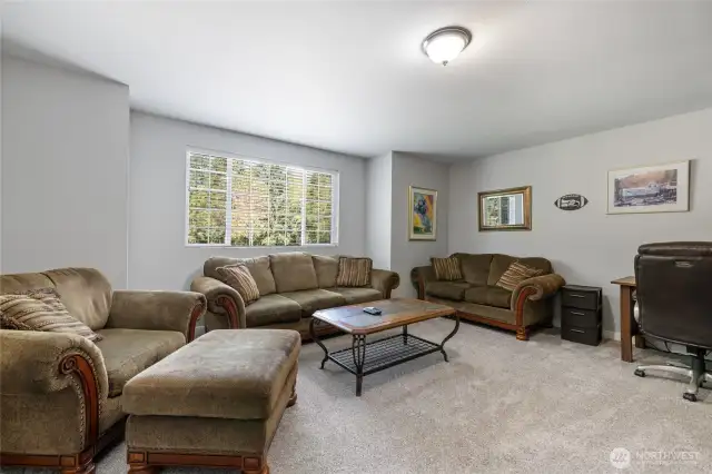 Bonus room for games or media or gym equipment