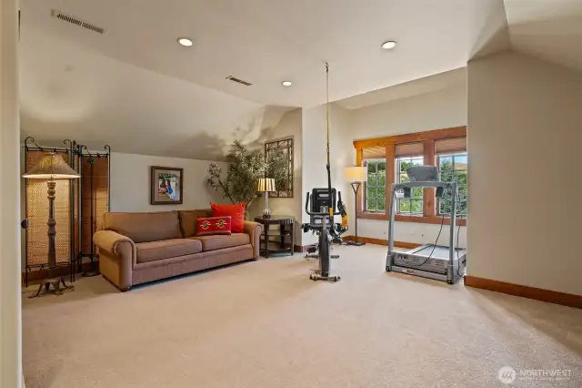 upstairs flex room could be used as a media room or 4th bedroom