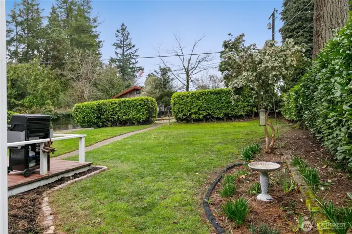 A view of the front yard.