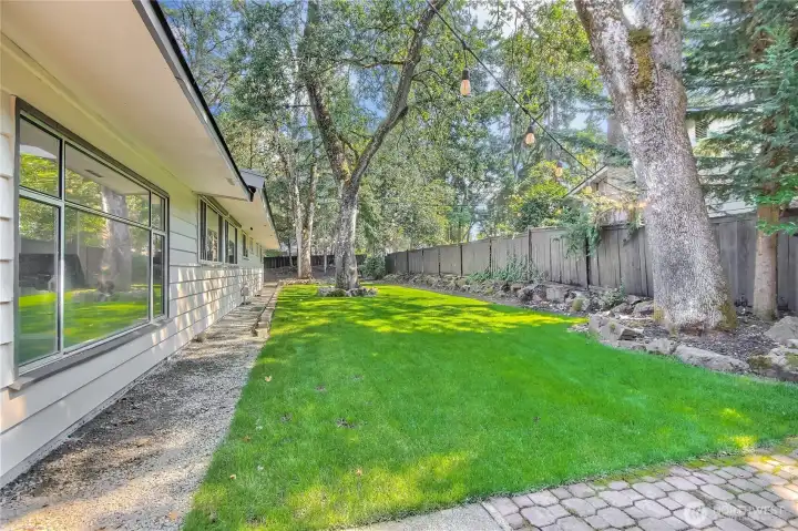 Fenced backyard with sprinkler system.