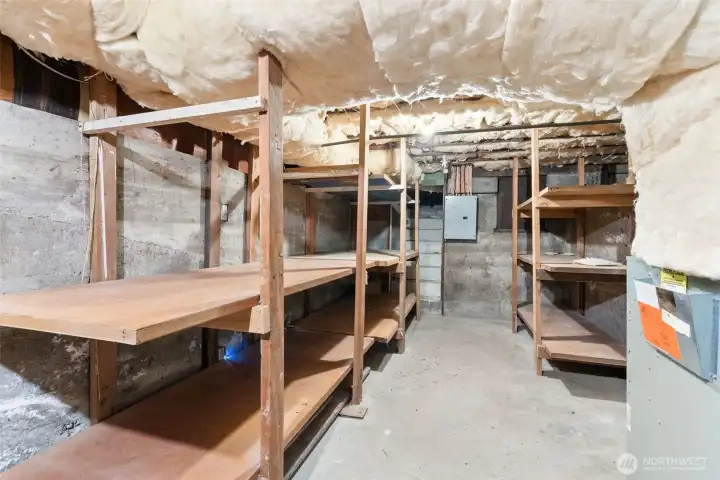 Unfinished basement area offering abundant storage, workshop potential, and additional utility space.