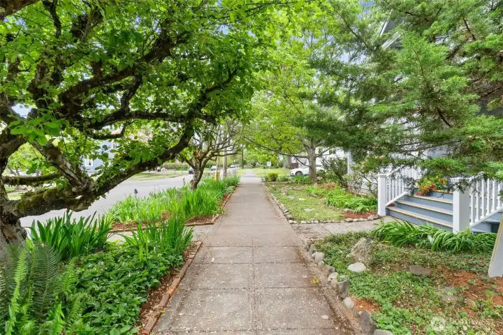 Tree-lined streets and mature landscaping create a welcoming neighborhood atmosphere.