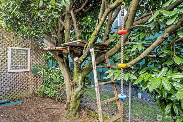 A surprise on the east side of the house for lots of play time!