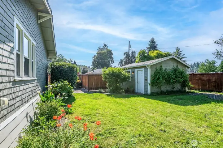 Detached garage and grape vines