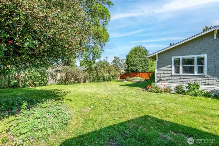 Huge rear yard with raised garden beds