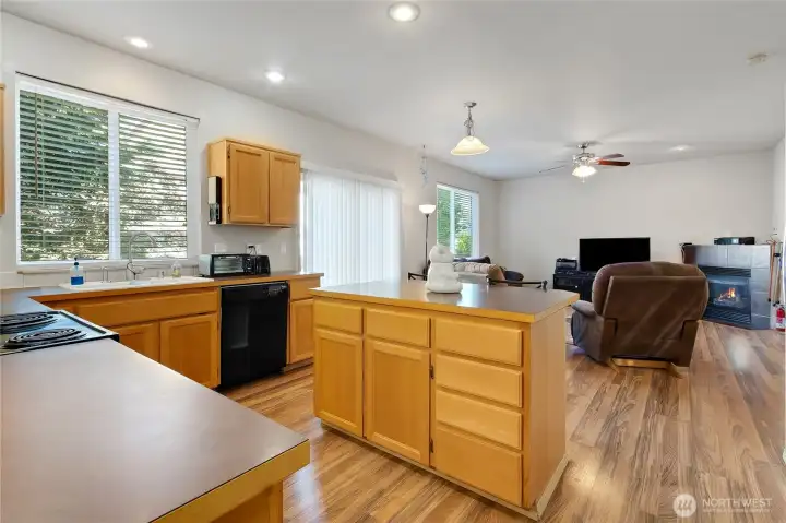 From the dining room into the great room concept gourmet sized kitchen and family room