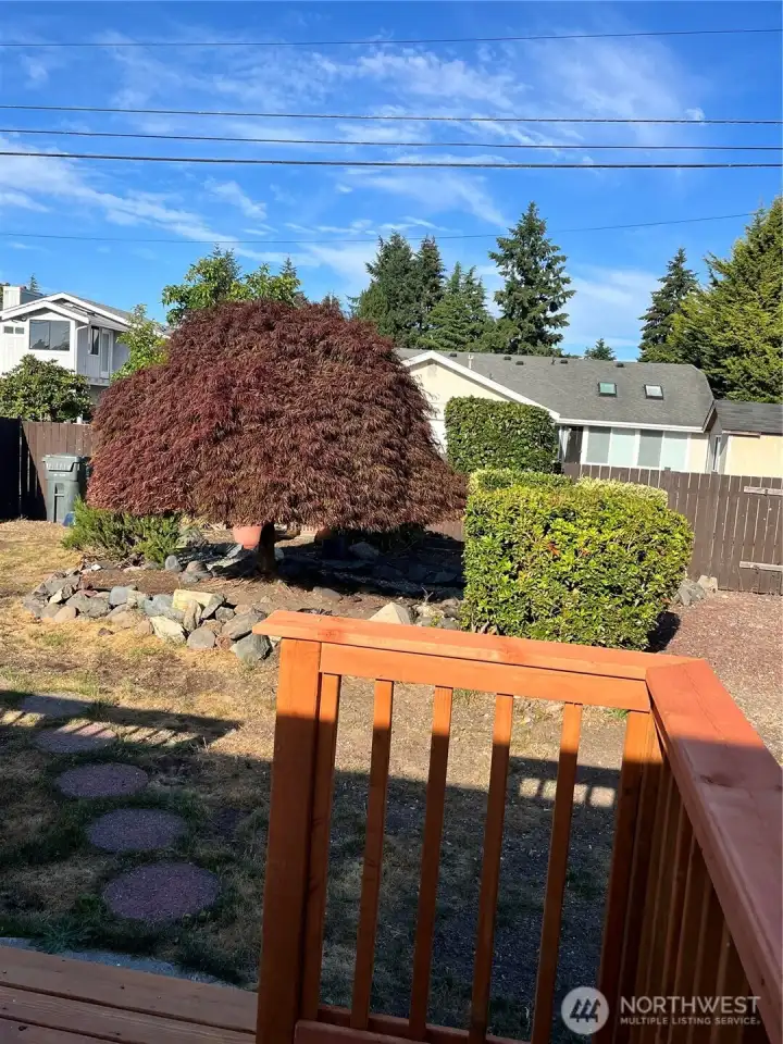 Mature landscaping