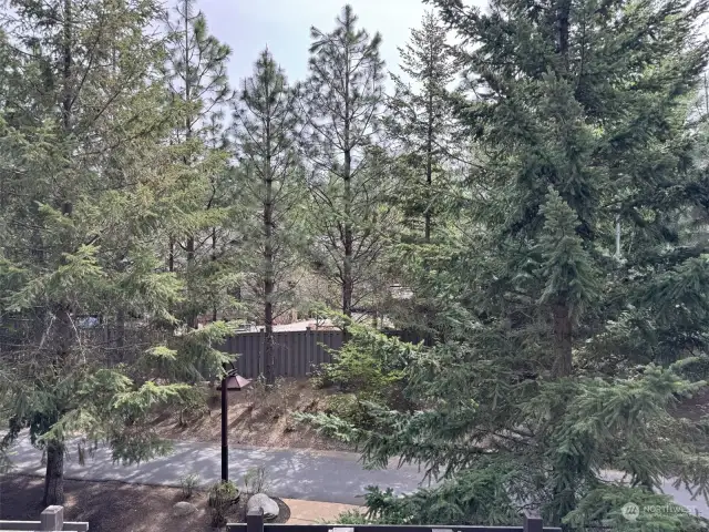 View from bedroom slider