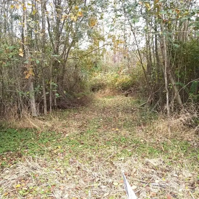 Pathway leading to property