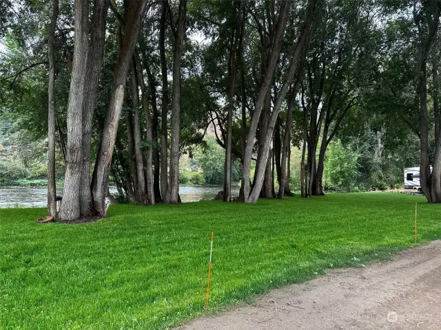 Cozy yard next to the river