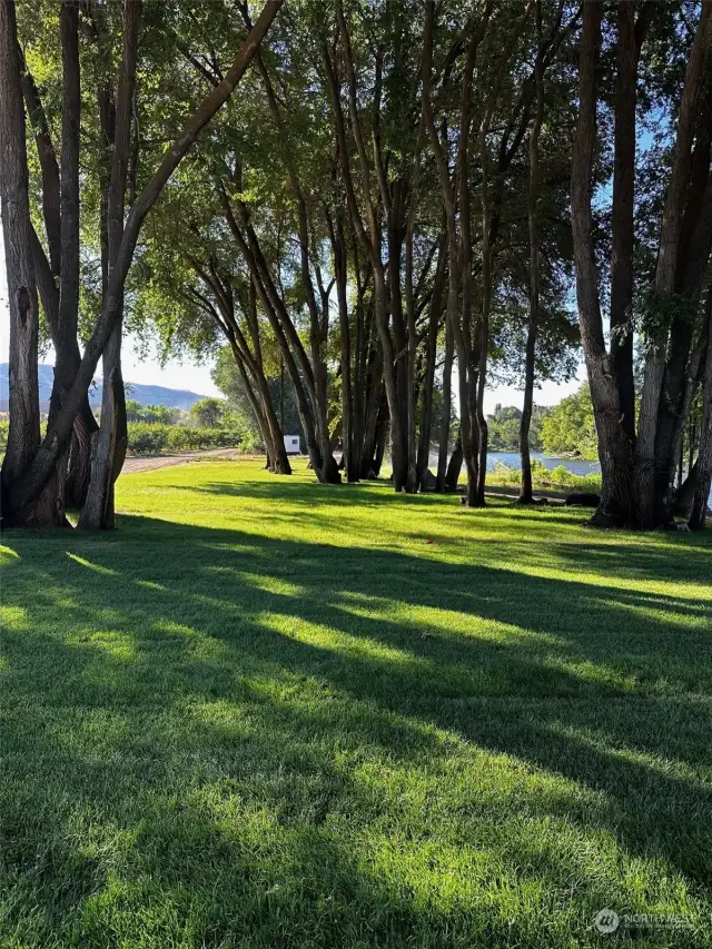 Cozy yard next to the river