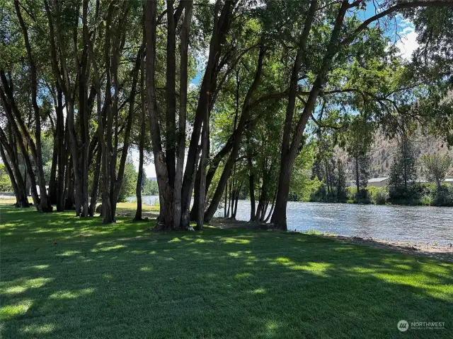 Lots of shade on the riverfront