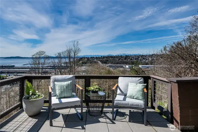 Views of the marina, Puget Sound and Olympic Mountains.