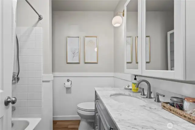 Full guest bathroom
