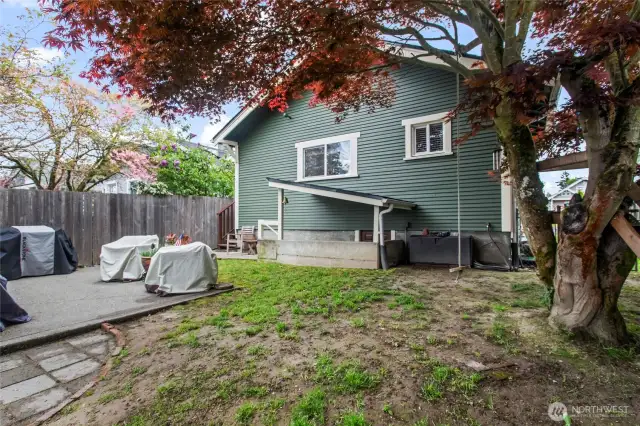 Back yard - with separate entrance to the lower level.