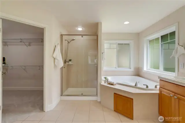 primary bath with jetted tub and walk in closet