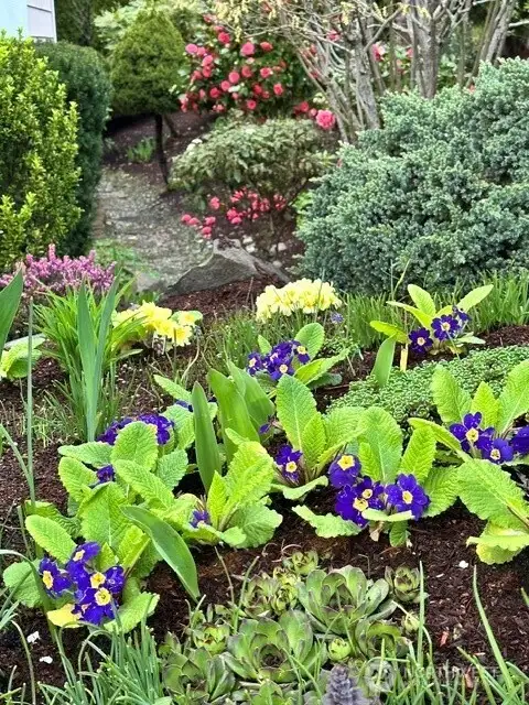 seasonal flowers