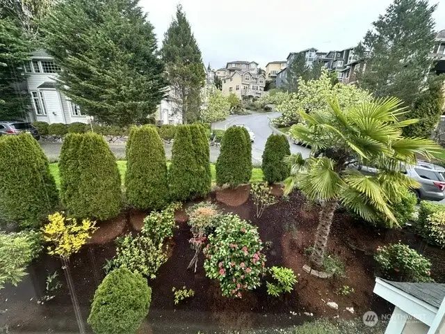 mature landscaping