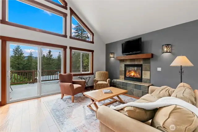 Family Room with Fireplace, Expansive Views