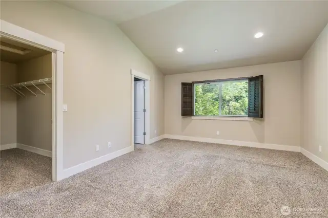 Primary suite has walk-in closet and vaulted ceiling
