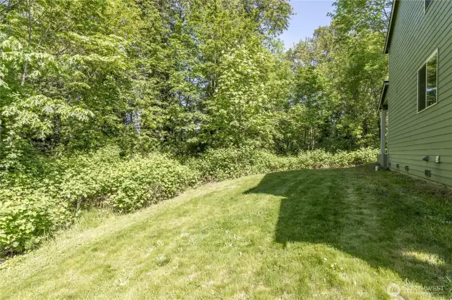 Large lot is over 1/3 acre, bordering a serene wooded area