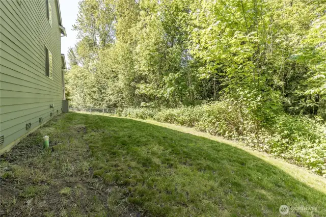 Great bird watching here, with nice privacy and seclusion