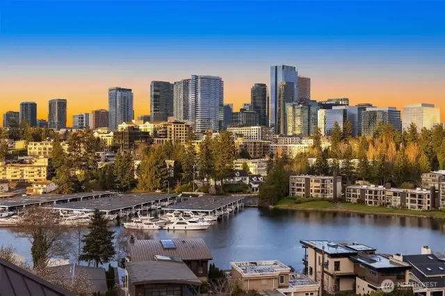 Dramatic Bellevue Skyline