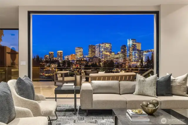 Bellevue Skyline/Meydenbauer Bay Views