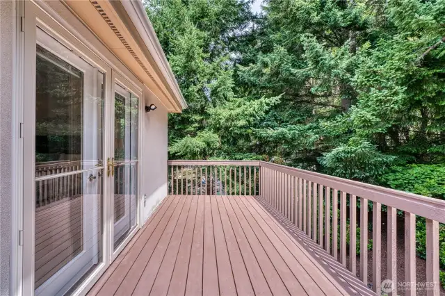 New deck flooring with all fresh paint leading off the primary suite. Perfect spot for morning coffee or evening reading/relaxing.