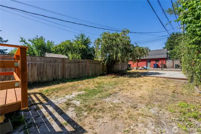 Back yard