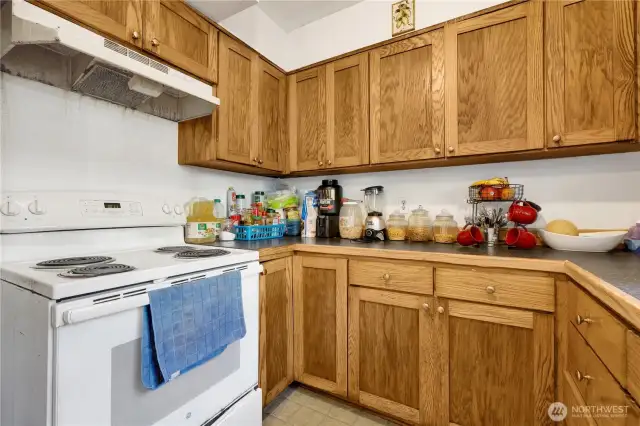 Apt. 1 - Kitchen