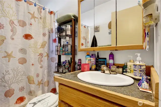 Apt. 1 - Bathroom