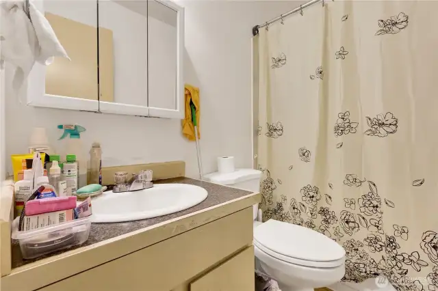Apt. 2 - Bathroom