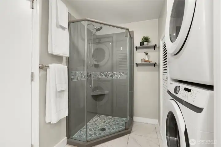 Lower level bathroom