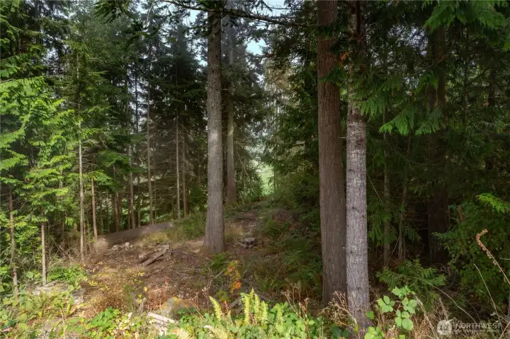 From 2022 when trees and bushes were cleared.